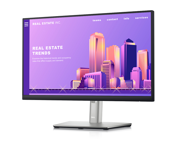 Dell 22 Monitor - P2222H