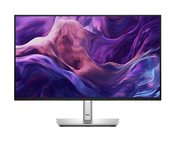 Dell 24 Monitor - P2425H