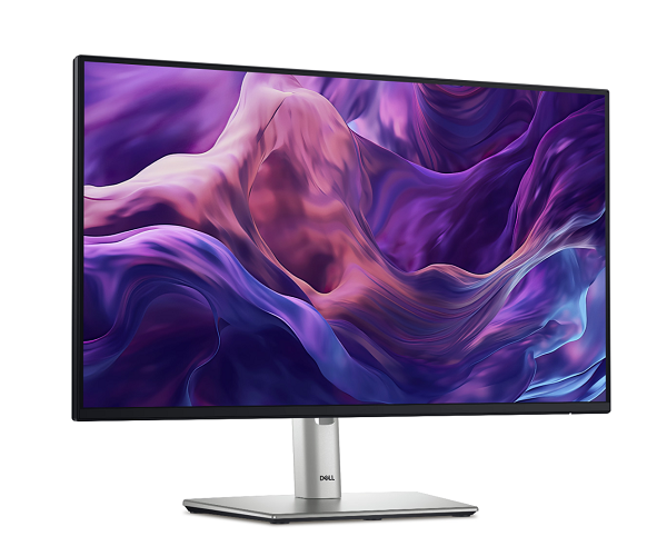 Dell 24 Monitor - P2425H