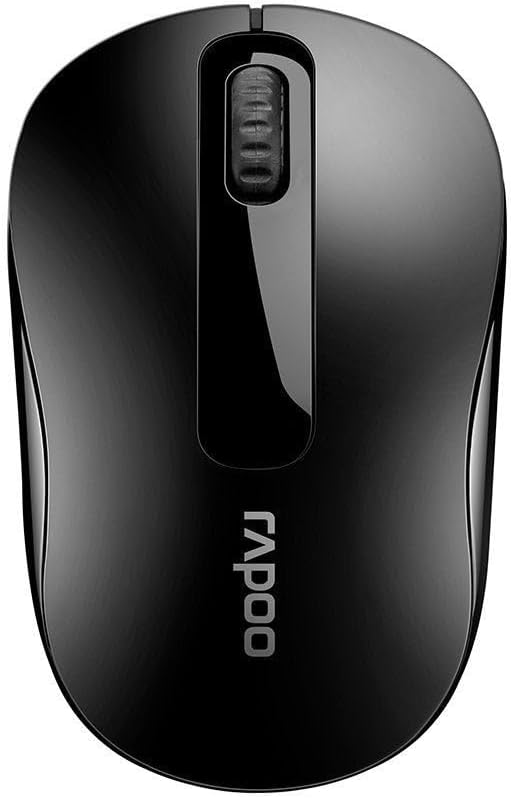 Rapoo Wireless Mouse M10 Plus