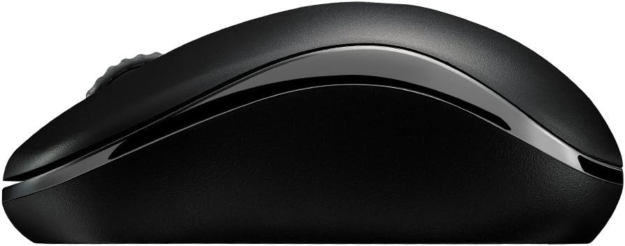 Rapoo Wireless Mouse M10 Plus