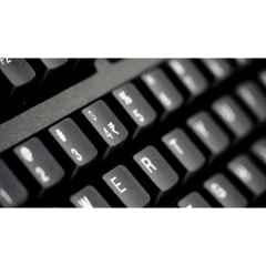 TVS GOLD KEYBOARD PRIME USB