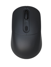 Lenovo Wireless Mouse 2100